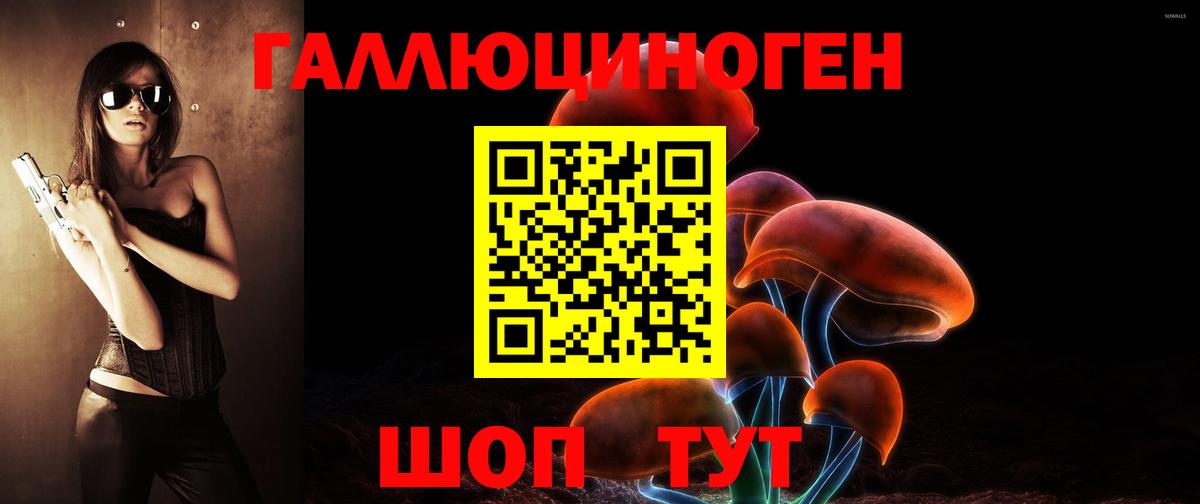 Нижнекамск  что такое наркотик  Вход с VPN  Псилоцибиновые грибы Psilocybine cubensis 